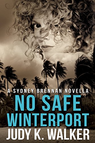 No Safe Winterport book cover