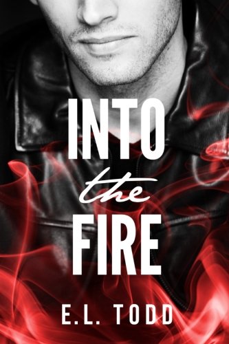 Into The Fire book cover