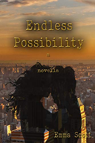 Endless Possibility book cover