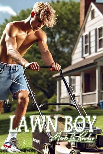 Lawn Boy book cover