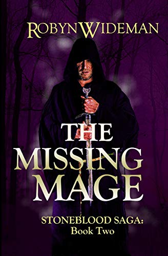 The Missing Mage book cover