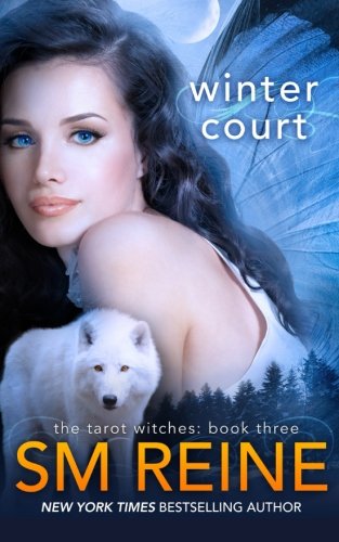 Winter Court cover