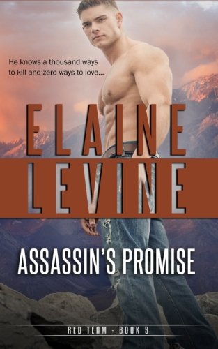 Assassin's Promise book cover