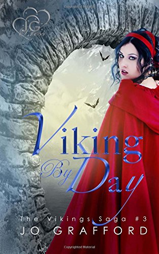 Viking By Day book cover