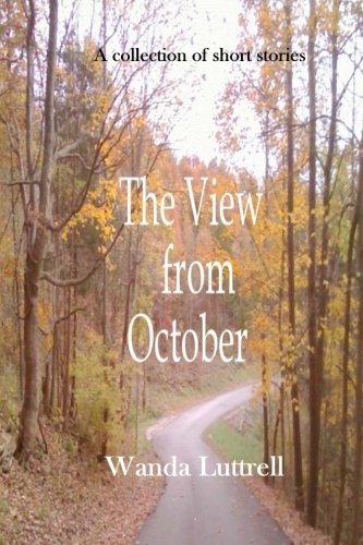 The View from October book cover