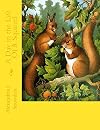 A Day in the Life Of A Squirrel