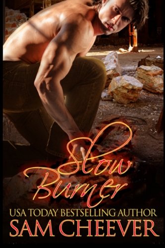Slow Burner book cover