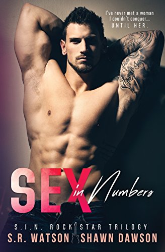 Sex in Numbers book cover