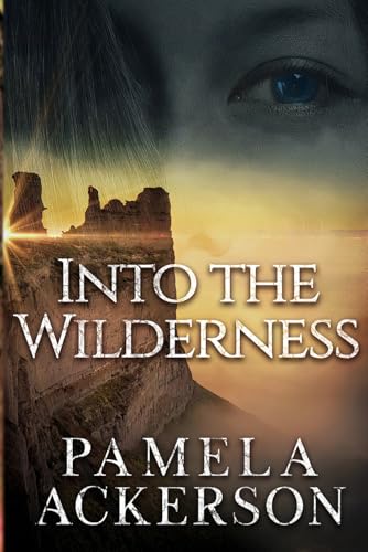 Into the Wilderness book cover