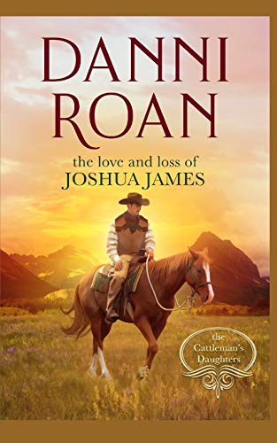 The Love and Loss of Joshua James book cover