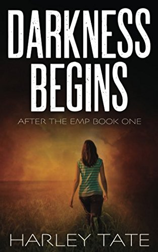 Darkness Begins book cover