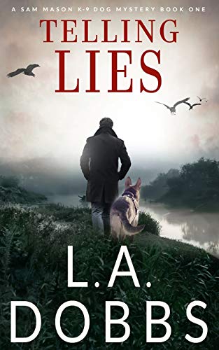 Telling Lies book cover