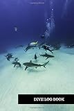 Dive Log Book Dive Log