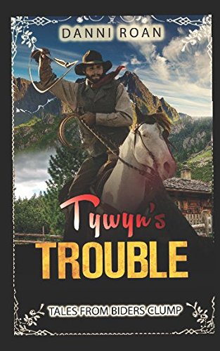 Tywyn's Trouble book cover