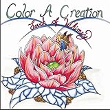 Color A Creation Touch Of Whimsy