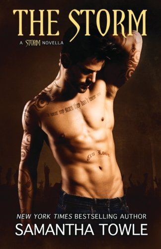 The Storm book cover