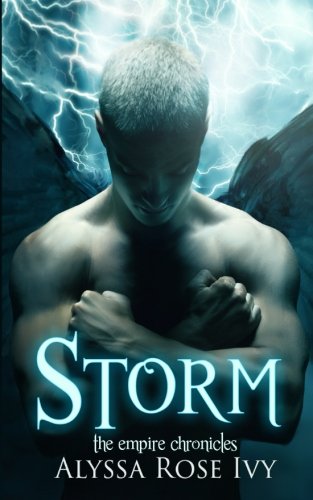 Storm book cover