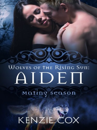Aiden book cover