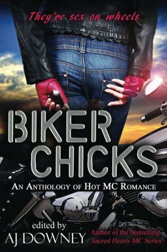 Biker Chicks book cover