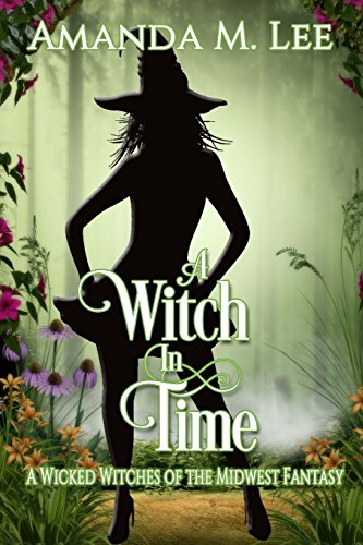 A Witch in Time book cover