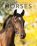 Horses Amazing Pictures Fun Facts On Animals In Nature