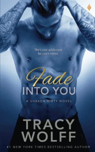 Fade Into You book cover