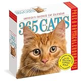 365 Cats 2019 Calendar