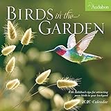 Audubon Birds In The Garden 2020 Calendar
