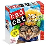 Bad Cat 2020 Calendar