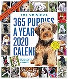 365 Puppiesayear Pictureaday 2020 Calendar