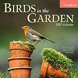 Audubon Birds In The Garden Wall Calendar 2021