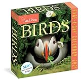 Audubon Birds Pageaday Calendar 2021