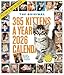 365 Kittens-A-Year Picture-A-Day® Wall Calendar 2026