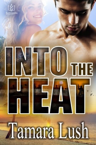 Dirty Secrets / Into The Heat book cover