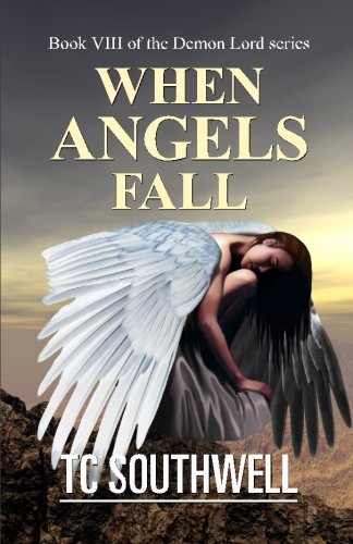 When Angels Fall book cover