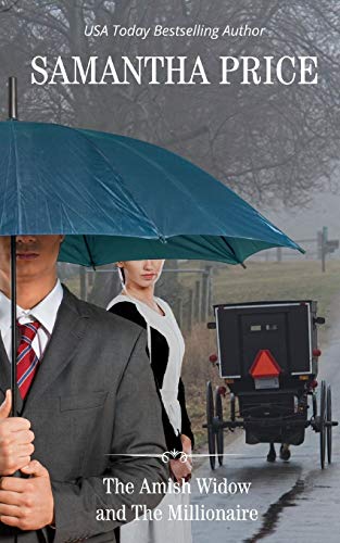 The Amish Widow and the Millionaire cover