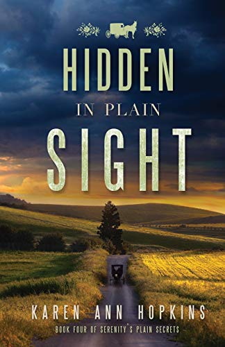 Hidden in Plain Sight book cover