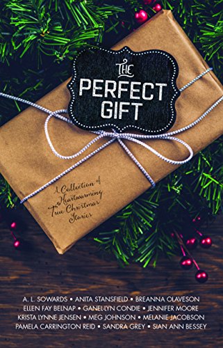 The Perfect Gift book cover