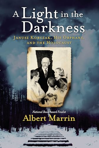 Cover of Light in the Darkness