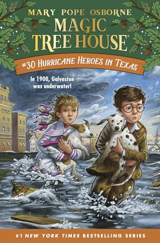 Hurricane Heroes in Texas book cover