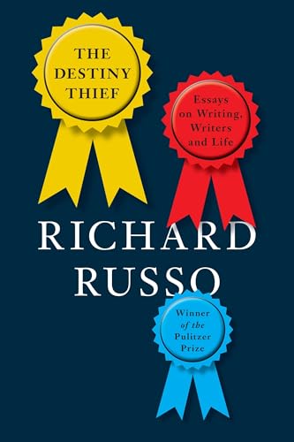 The Destiny Thief book cover