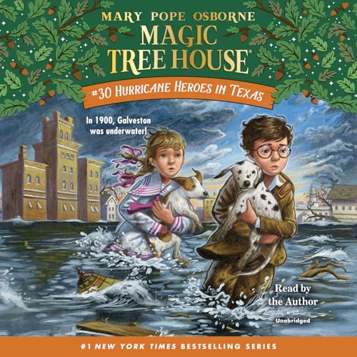 Cover of Hurricane heroes in Texas