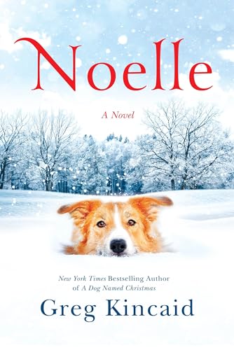 Noelle book cover