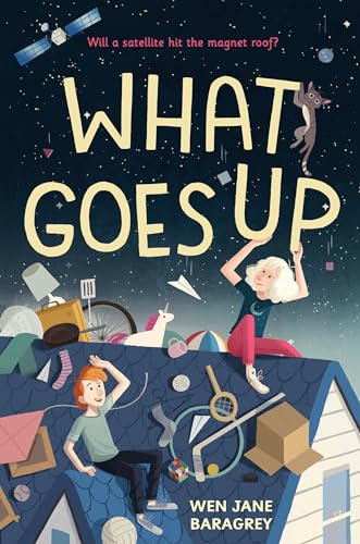 Cover of What goes up