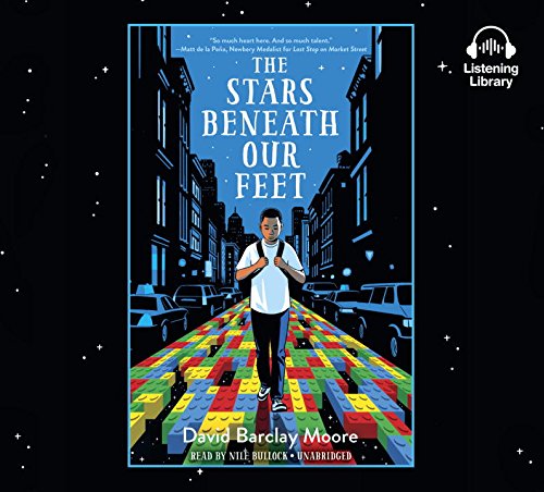 Cover of The stars beneath our feet