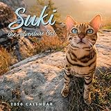 Suki The Adventure Cat 2020 Calendar