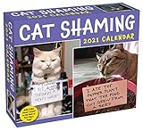 Cat Shaming 2021 Daytoday Calendar