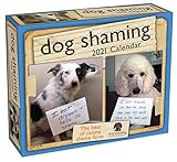 Dog Shaming 2021 Daytoday Calendar