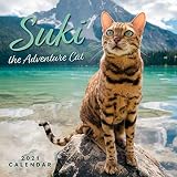 Suki The Adventure Cat 2021 Wall Calendar
