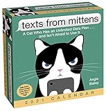 Texts From Mittens 2021 Daytoday Calendar